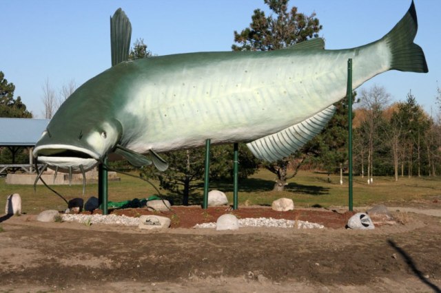 Dunnville Mudcat